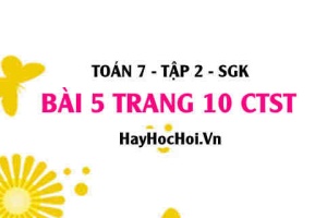 Bài 5 trang 10 Toán 7 Tập 2 Chân trời sáng tạo